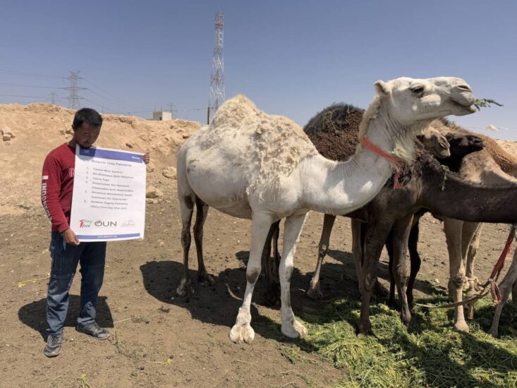 Qurban Bersama ODOJ  Hadirkan Kebahagiaan Pengungsi Palestina